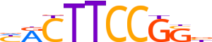 ETV6.H13INVITRO.0.PS.A reverse-complement motif logo (ETV6 gene, ETV6_HUMAN protein)