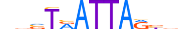 EVX2.H13INVITRO.0.SM.B reverse-complement motif logo (EVX2 gene, EVX2_HUMAN protein)