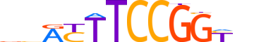 FLI1.H13INVITRO.0.PSM.A reverse-complement motif logo (FLI1 gene, FLI1_HUMAN protein)