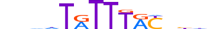 FOXA2.H13INVITRO.0.PSM.A motif logo (FOXA2 gene, FOXA2_HUMAN protein)