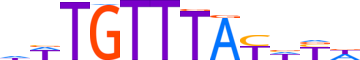 FOXC2.H13INVITRO.0.SM.B motif logo (FOXC2 gene, FOXC2_HUMAN protein)