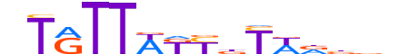 FOXD2.H13INVITRO.1.SM.B motif logo (FOXD2 gene, FOXD2_HUMAN protein)