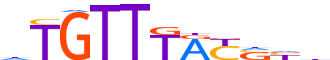 FOXG1.H13INVITRO.0.PSM.A motif logo (FOXG1 gene, FOXG1_HUMAN protein)