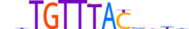 FOXI1.H13INVITRO.0.SM.B motif logo (FOXI1 gene, FOXI1_HUMAN protein)