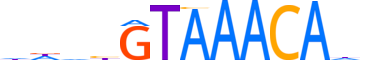 FOXI1.H13INVITRO.0.SM.B reverse-complement motif logo (FOXI1 gene, FOXI1_HUMAN protein)