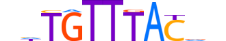 FOXJ2.H13INVITRO.0.PSM.A motif logo (FOXJ2 gene, FOXJ2_HUMAN protein)