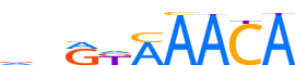 FOXK1.H13INVITRO.0.PS.A reverse-complement motif logo (FOXK1 gene, FOXK1_HUMAN protein)