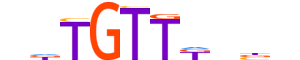 FOXL2.H13INVITRO.0.PSM.A motif logo (FOXL2 gene, FOXL2_HUMAN protein)