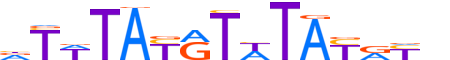 FOXR2.H13INVITRO.0.M.C motif logo (FOXR2 gene, FOXR2_HUMAN protein)