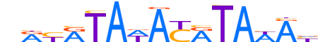 FOXR2.H13INVITRO.0.M.C reverse-complement motif logo (FOXR2 gene, FOXR2_HUMAN protein)