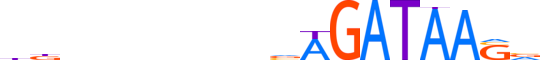 GATA1.H13INVITRO.0.P.B motif logo (GATA1 gene, GATA1_HUMAN protein)