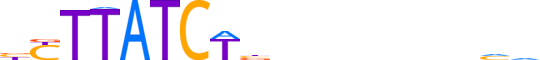 GATA1.H13INVITRO.0.P.B reverse-complement motif logo (GATA1 gene, GATA1_HUMAN protein)