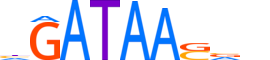 GATA1.H13INVITRO.1.PSM.A motif logo (GATA1 gene, GATA1_HUMAN protein)