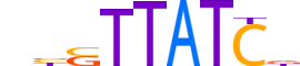 GATA1.H13INVITRO.1.PSM.A reverse-complement motif logo (GATA1 gene, GATA1_HUMAN protein)