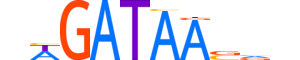 GATA2.H13INVITRO.0.PSM.A motif logo (GATA2 gene, GATA2_HUMAN protein)