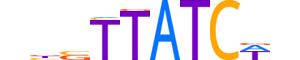 GATA2.H13INVITRO.0.PSM.A reverse-complement motif logo (GATA2 gene, GATA2_HUMAN protein)