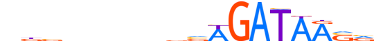 GATA2.H13INVITRO.1.P.B motif logo (GATA2 gene, GATA2_HUMAN protein)