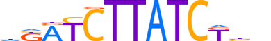 GATA3.H13INVITRO.1.SM.B reverse-complement motif logo (GATA3 gene, GATA3_HUMAN protein)