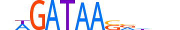 GATA6.H13INVITRO.0.PSM.A motif logo (GATA6 gene, GATA6_HUMAN protein)