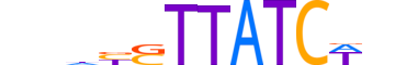 GATA6.H13INVITRO.0.PSM.A reverse-complement motif logo (GATA6 gene, GATA6_HUMAN protein)