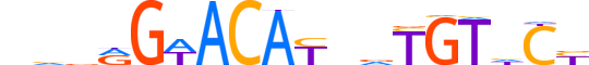 GCR.H13INVITRO.0.PS.A reverse-complement motif logo (NR3C1 gene, GCR_HUMAN protein)