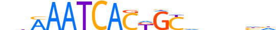 GFI1.H13INVITRO.0.PSM.A reverse-complement motif logo (GFI1 gene, GFI1_HUMAN protein)