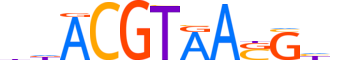 GMEB2.H13INVITRO.2.SM.B motif logo (GMEB2 gene, GMEB2_HUMAN protein)