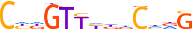 GRHL2.H13INVITRO.0.P.D motif logo (GRHL2 gene, GRHL2_HUMAN protein)