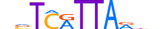 GSX1.H13INVITRO.0.SM.B reverse-complement motif logo (GSX1 gene, GSX1_HUMAN protein)