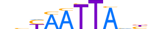 HESX1.H13INVITRO.0.SM.B motif logo (HESX1 gene, HESX1_HUMAN protein)