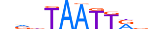 HESX1.H13INVITRO.0.SM.B reverse-complement motif logo (HESX1 gene, HESX1_HUMAN protein)