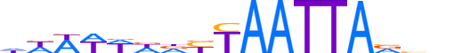 HESX1.H13INVITRO.1.S.B motif logo (HESX1 gene, HESX1_HUMAN protein)