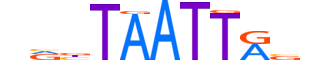 HME1.H13INVITRO.0.PSM.A reverse-complement motif logo (EN1 gene, HME1_HUMAN protein)