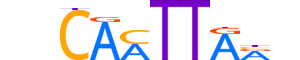 HMX1.H13INVITRO.0.SM.B reverse-complement motif logo (HMX1 gene, HMX1_HUMAN protein)