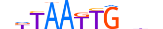 HMX3.H13INVITRO.0.S.B motif logo (HMX3 gene, HMX3_HUMAN protein)