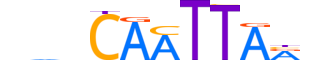 HMX3.H13INVITRO.0.S.B reverse-complement motif logo (HMX3 gene, HMX3_HUMAN protein)