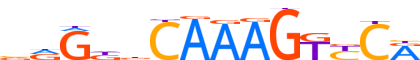 HNF4A.H13INVITRO.0.PSM.A motif logo (HNF4A gene, HNF4A_HUMAN protein)