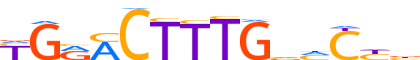 HNF4A.H13INVITRO.0.PSM.A reverse-complement motif logo (HNF4A gene, HNF4A_HUMAN protein)