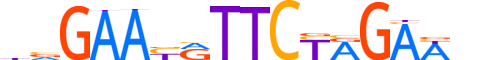 HSF1.H13INVITRO.0.PSM.A motif logo (HSF1 gene, HSF1_HUMAN protein)