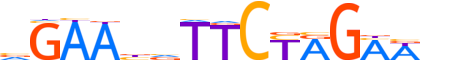 HSF4.H13INVITRO.0.SM.B motif logo (HSF4 gene, HSF4_HUMAN protein)