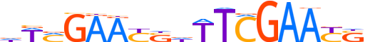 HSFY1.H13INVITRO.1.S.B reverse-complement motif logo (HSFY1 gene, HSFY1_HUMAN protein)