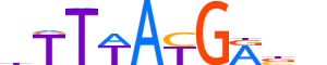 HXA11.H13INVITRO.0.PS.A motif logo (HOXA11 gene, HXA11_HUMAN protein)