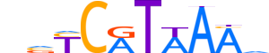 HXA11.H13INVITRO.0.PS.A reverse-complement motif logo (HOXA11 gene, HXA11_HUMAN protein)