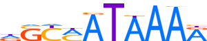 HXA9.H13INVITRO.2.P.B reverse-complement motif logo (HOXA9 gene, HXA9_HUMAN protein)