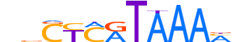 HXB13.H13INVITRO.0.PS.A reverse-complement motif logo (HOXB13 gene, HXB13_HUMAN protein)