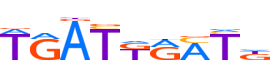 HXB4.H13INVITRO.0.P.B motif logo (HOXB4 gene, HXB4_HUMAN protein)