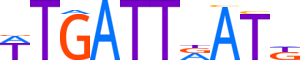 HXB7.H13INVITRO.0.P.C motif logo (HOXB7 gene, HXB7_HUMAN protein)