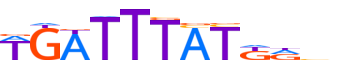 HXC10.H13INVITRO.0.P.B motif logo (HOXC10 gene, HXC10_HUMAN protein)