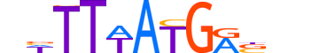 HXC10.H13INVITRO.1.S.B motif logo (HOXC10 gene, HXC10_HUMAN protein)