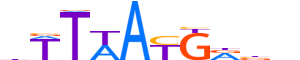 HXC11.H13INVITRO.1.S.B motif logo (HOXC11 gene, HXC11_HUMAN protein)